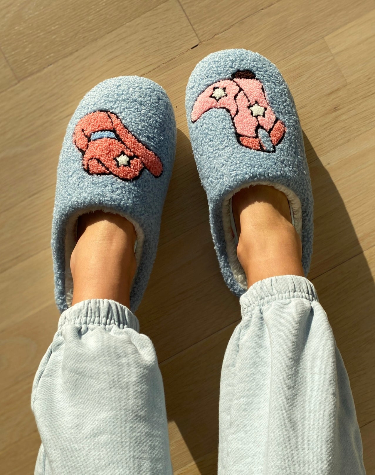 Rodeo Slippers